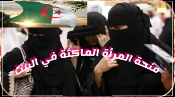 دعم نسائي.. تفاصيل التسجيل في منحة المرأة الماكثة في البيت 2025 الجزائر